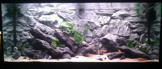 fish tank background grey rock inside aquarium
