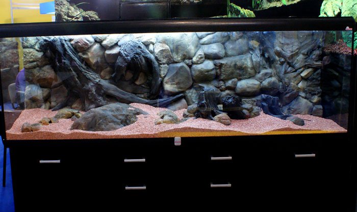 Aqua Maniac 3D background - large fish tank with Amazon 3D background